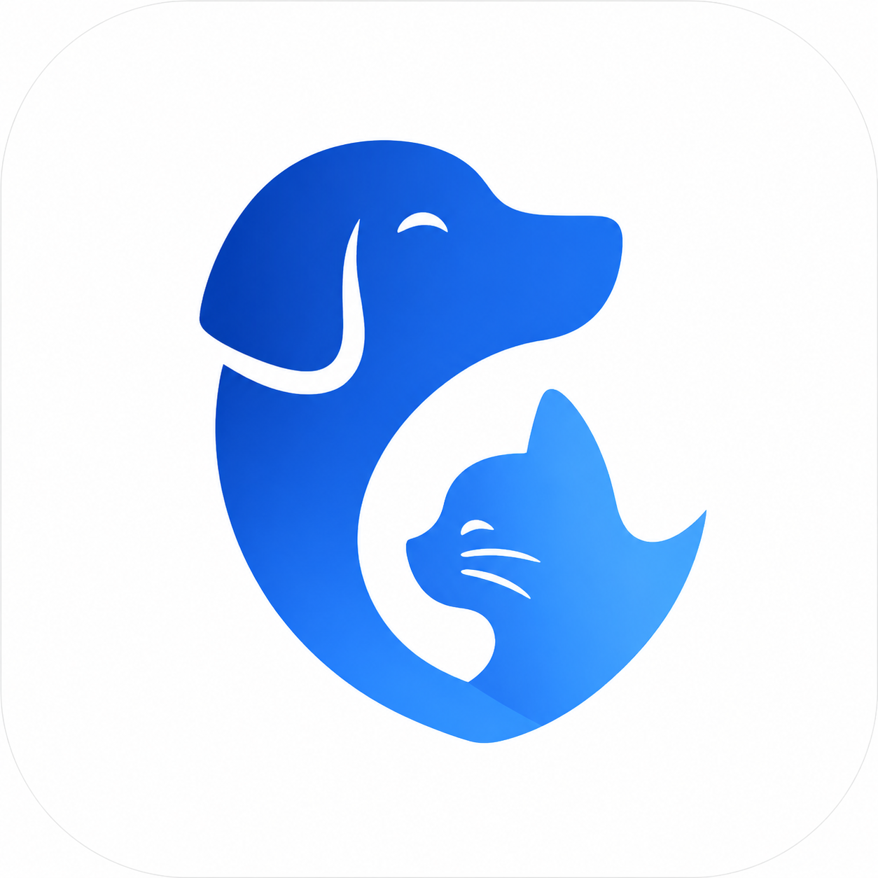 Zooki Logo Blanco